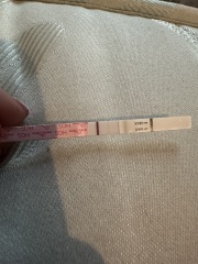 Do you see what I see?