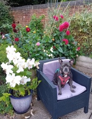 The support thread for anyone trying to lead an alcohol free life.