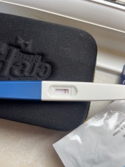 Pregnancy test
