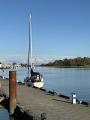 Come and tell me your dull and unexciting news 31: Calmly through the day