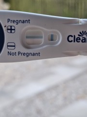Pregnancy test