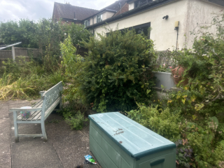 How to recover beds that have been overgrown with established weeds