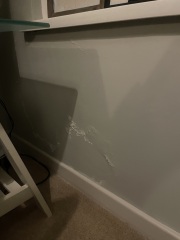 Strange damp issue