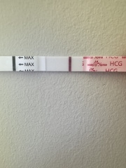 A line eye enthusiast #3