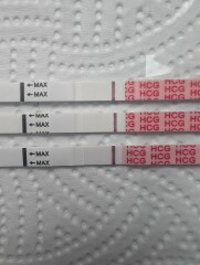 Sorry but. . Line eyes pleeeeease