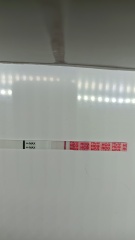 A line eye enthusiast #3