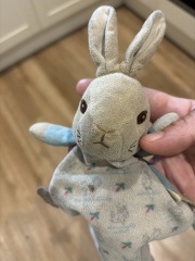 Help! Lost toys that are precious