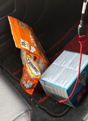 Run out of cat food - what can I feed?!