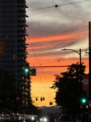 Come and tell me your dull and unexciting news 30: Calmly through the day