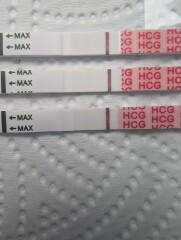 Sorry but. . Line eyes pleeeeease