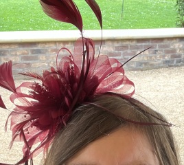 MN has spoken, fascinators are awful, wide headbands are OK, your thoughts on this one please