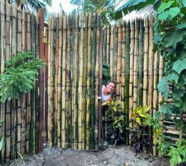 Neighbours using our drive as their path