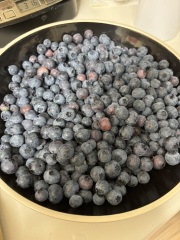 Come and tell me your dull and unexciting news 30: Calmly through the day