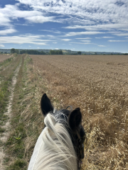 Adult new or returning riders up for a chat?