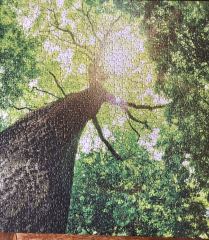 Anyone fancy a new jigsaw thread?