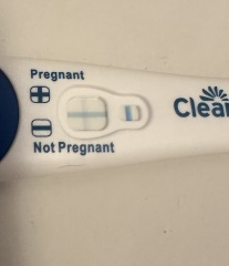 Do you see what I see?