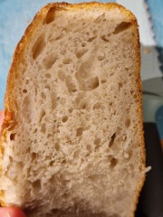 Behold my Sourdough