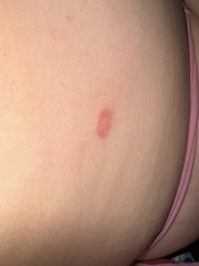 HELP! What is this???