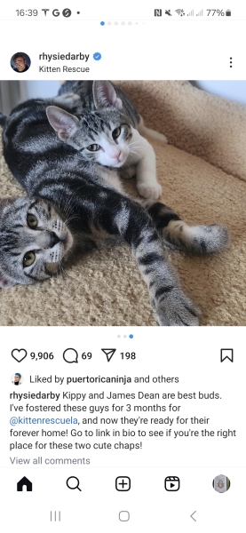 Our Flag Means Death - Thread 4: Roll up, roll up! Come join us for more pirate obsession!