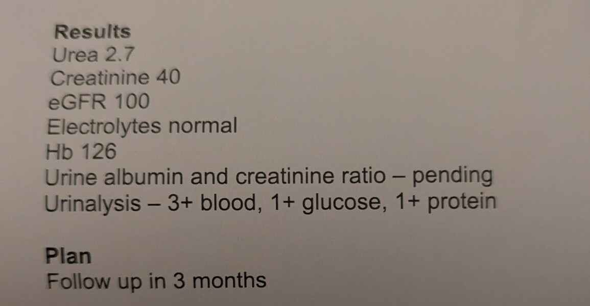 Anyone understand urinalysis results and can help me make sense of this?