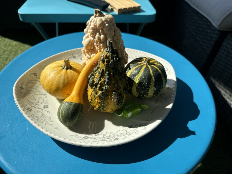 The Autumnal Christmas Chronicles Preamble thread