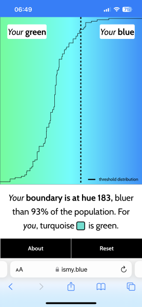 Do people just not know what Turquoise is?