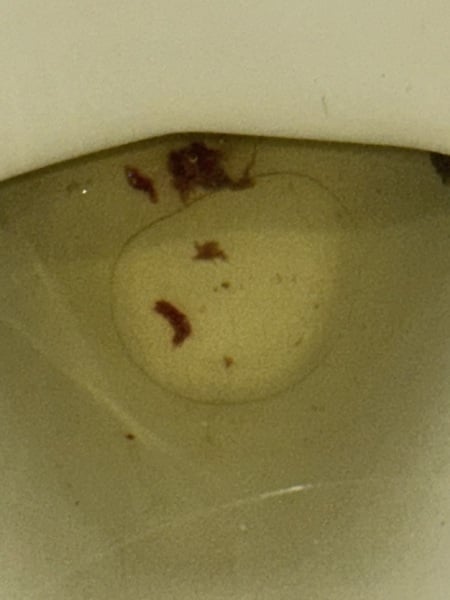 What could this be??