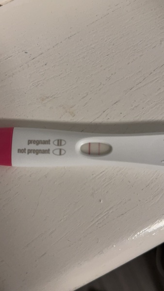 14dpo Test