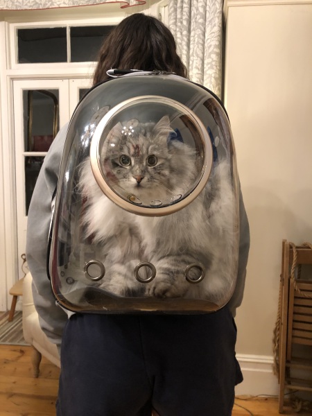 Thread 8 Starmer : Cat fur on new clothes