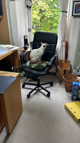 Thread 7 Starmer : Cats and Conferences