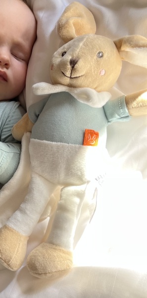 Please help - lost bunny!