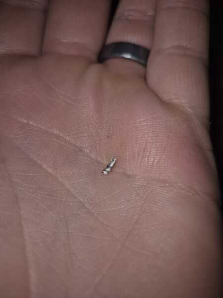 Can anyone identify this thing that came out of my DIL