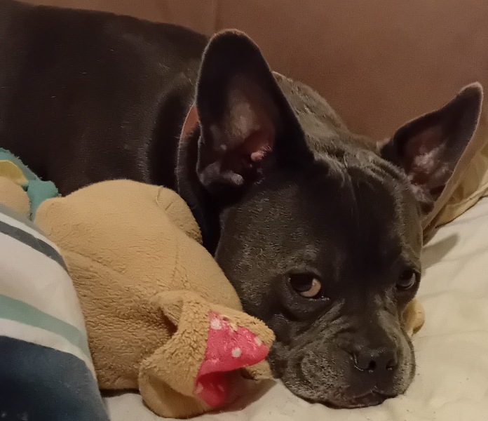 The Continuing Support Thread for Anyone Trying to Lead an Alcohol-Free Life Autumn 2024