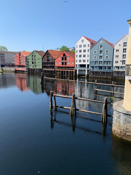 Thread 7 Starmer : Cats and Conferences