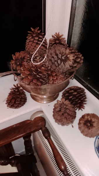 To hate seasonal decor