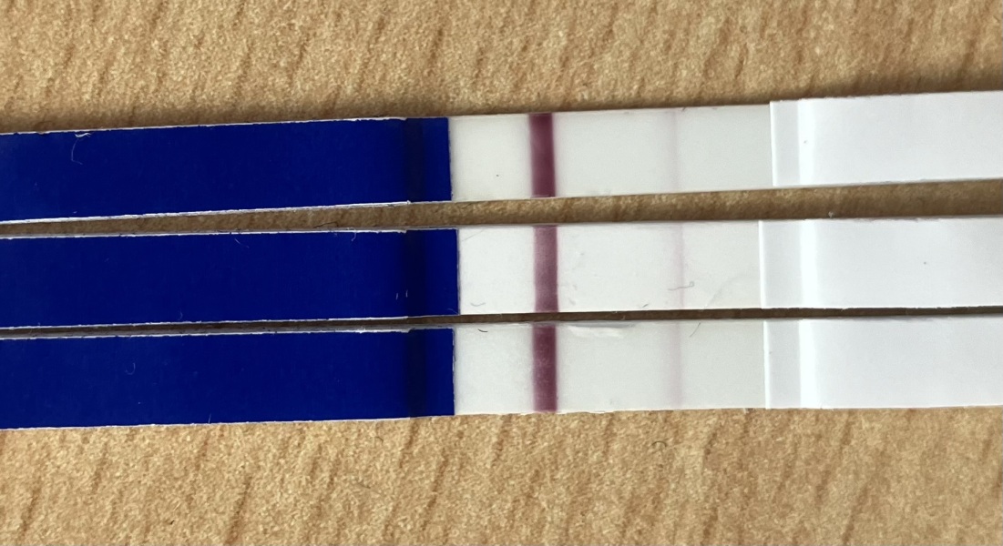 Two week wait ladies, you there?