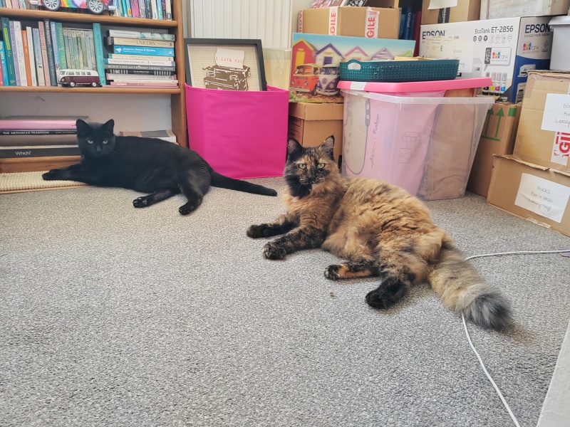 Any Witches here? Part 20