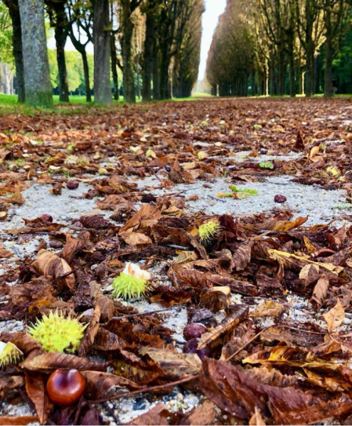 The Autumnal Christmas Chronicles Preamble thread