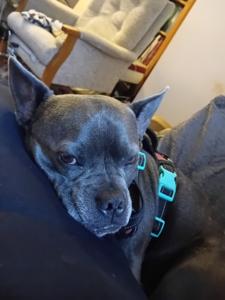 The Continuing Support Thread for Anyone Trying to Lead an Alcohol-Free Life Autumn 2024