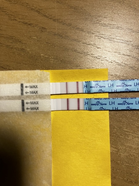 Half a line on EAH ovulation test?!
