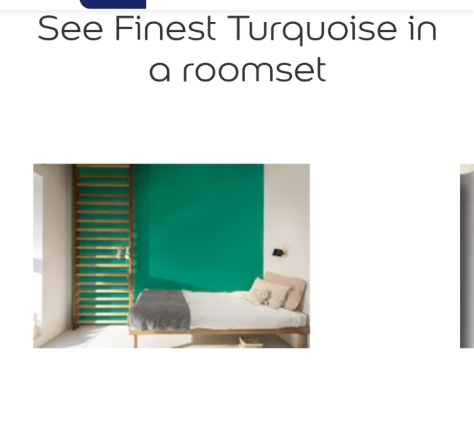 Do people just not know what Turquoise is?