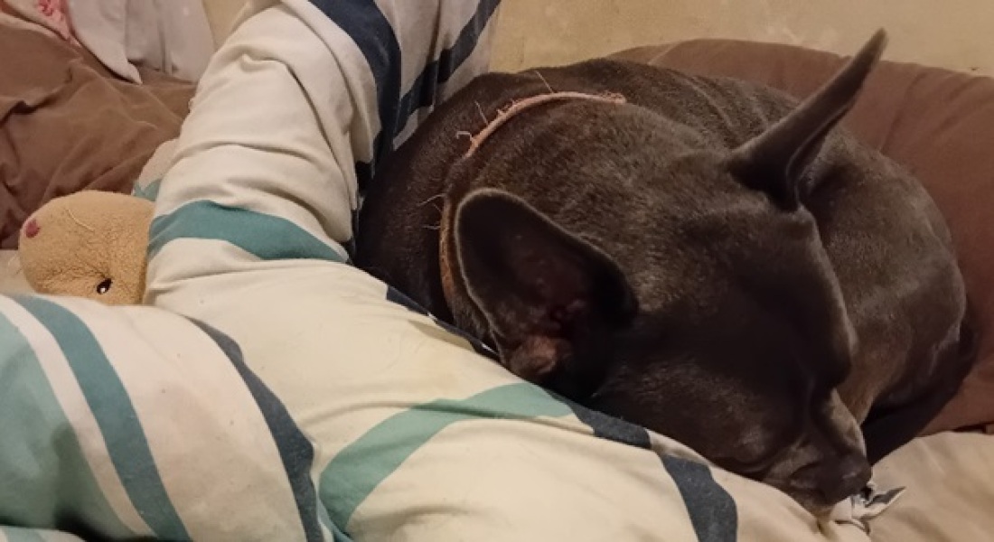 The Continuing Support Thread for Anyone Trying to Lead an Alcohol-Free Life Autumn 2024