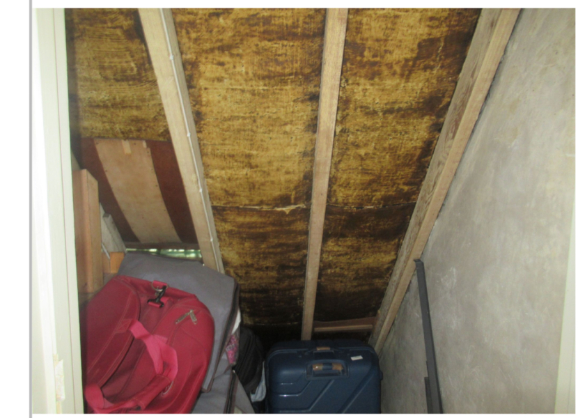 Survey points to decaying felt