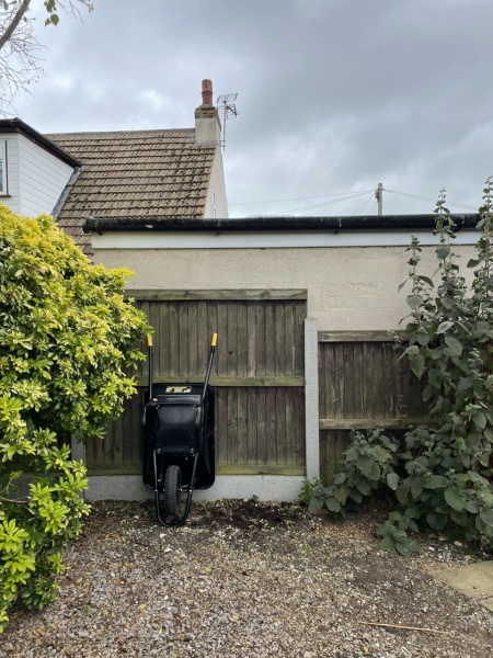 What to plant here...?