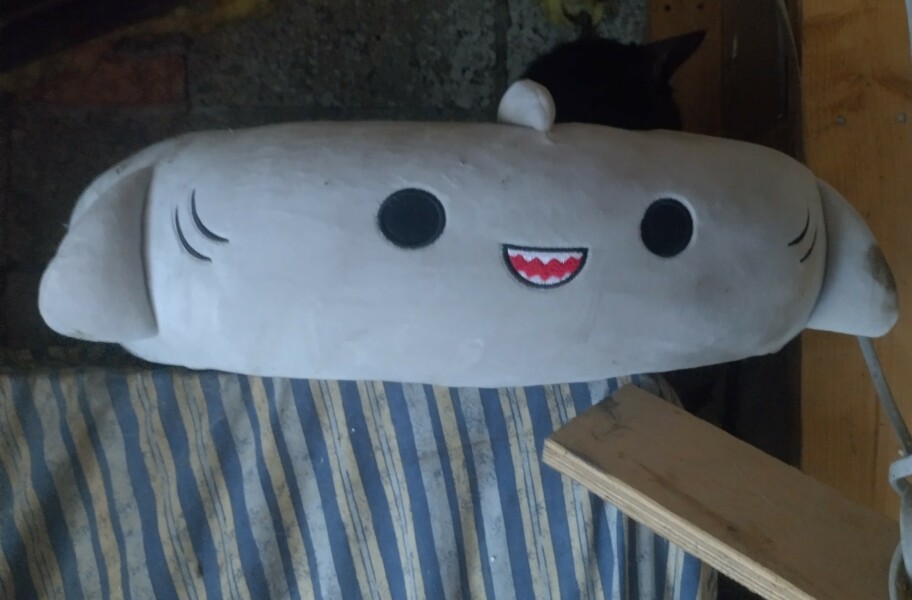 Passports, buckets and spades - the Excellent Cats go on their holidays