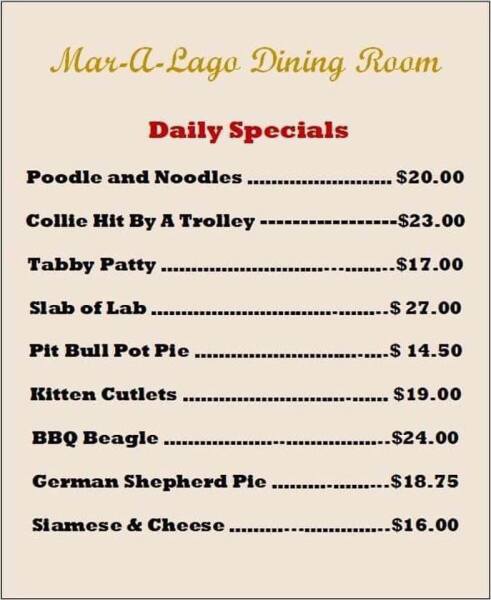 It's not over until the Cat Lady sings - Trump thread #133