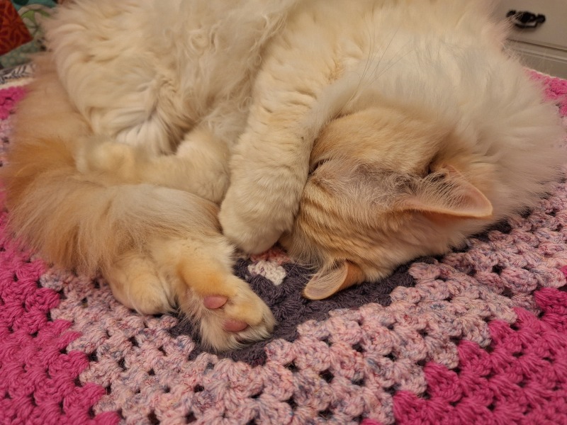 The Autumnal Christmas Chronicles Preamble thread