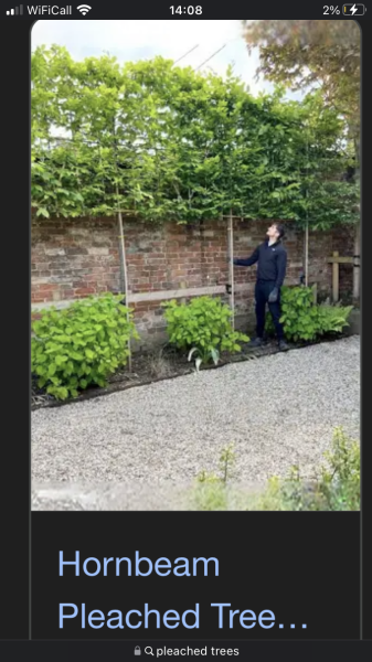 Lack of Privacy in Garden