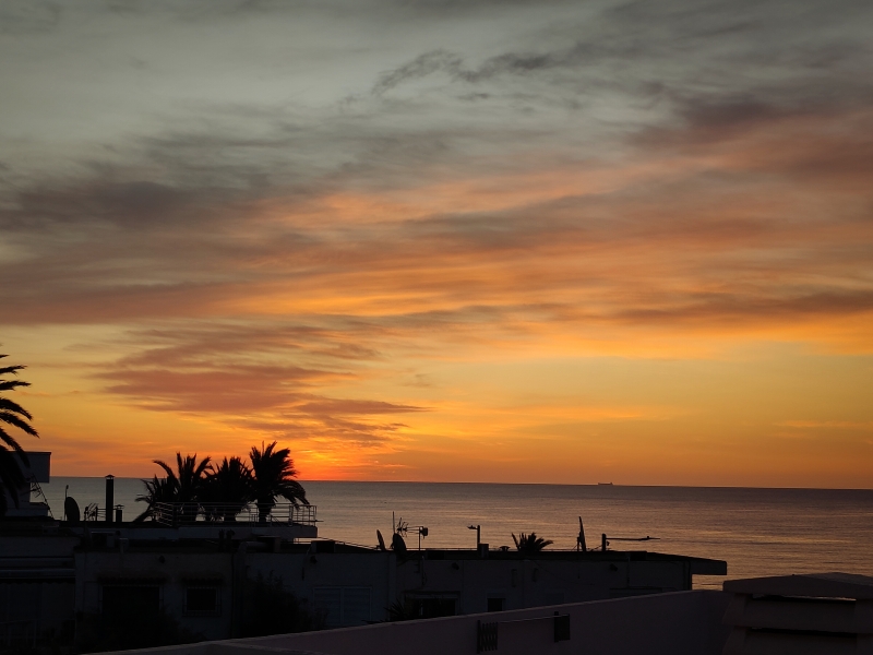 Thread 8 Starmer : Cat fur on new clothes