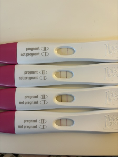 Is this good progression?